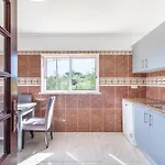 Wonderful Portuguese Casa Lombos Nova 3 Bedrooms Private Pool * Carvoeiro (Lagoa)